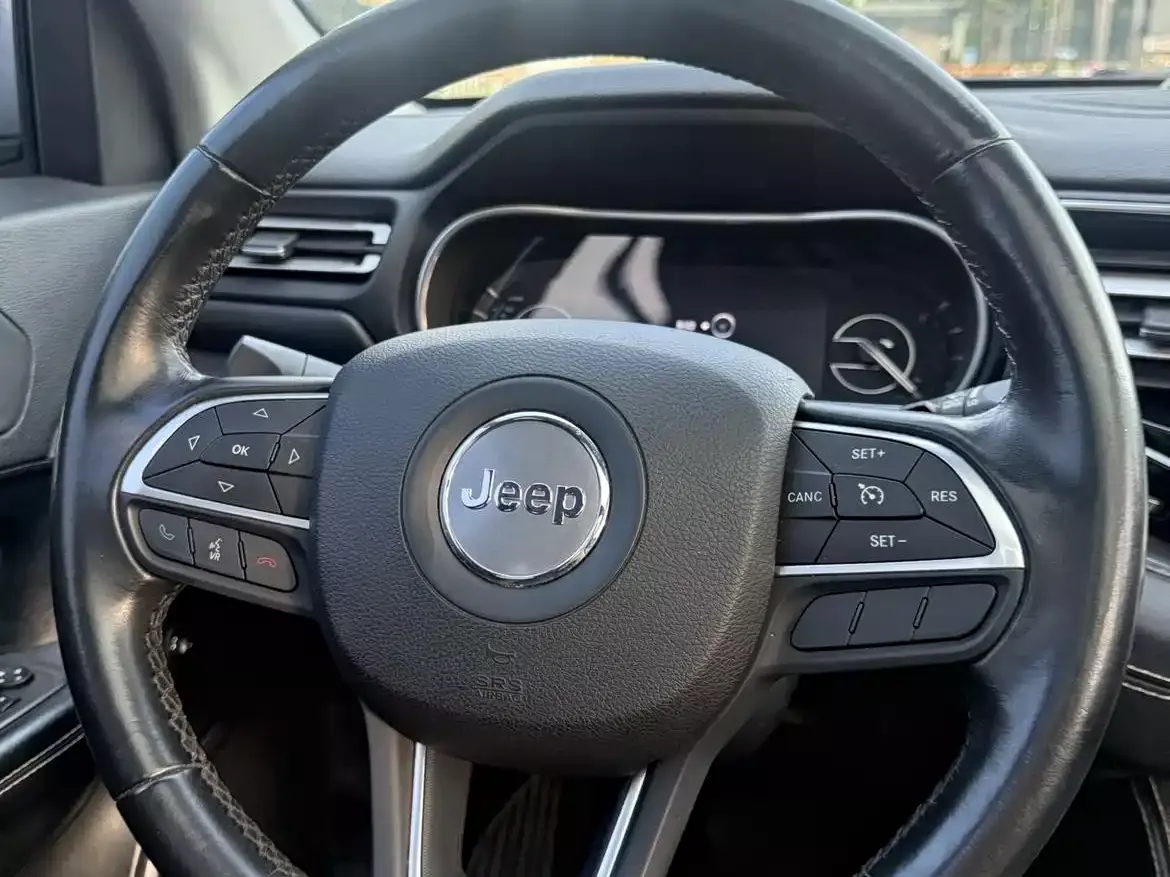Jeep Commander PHEV 2020 2.0T Plug-in Hybrid Premium Edition фото 14
