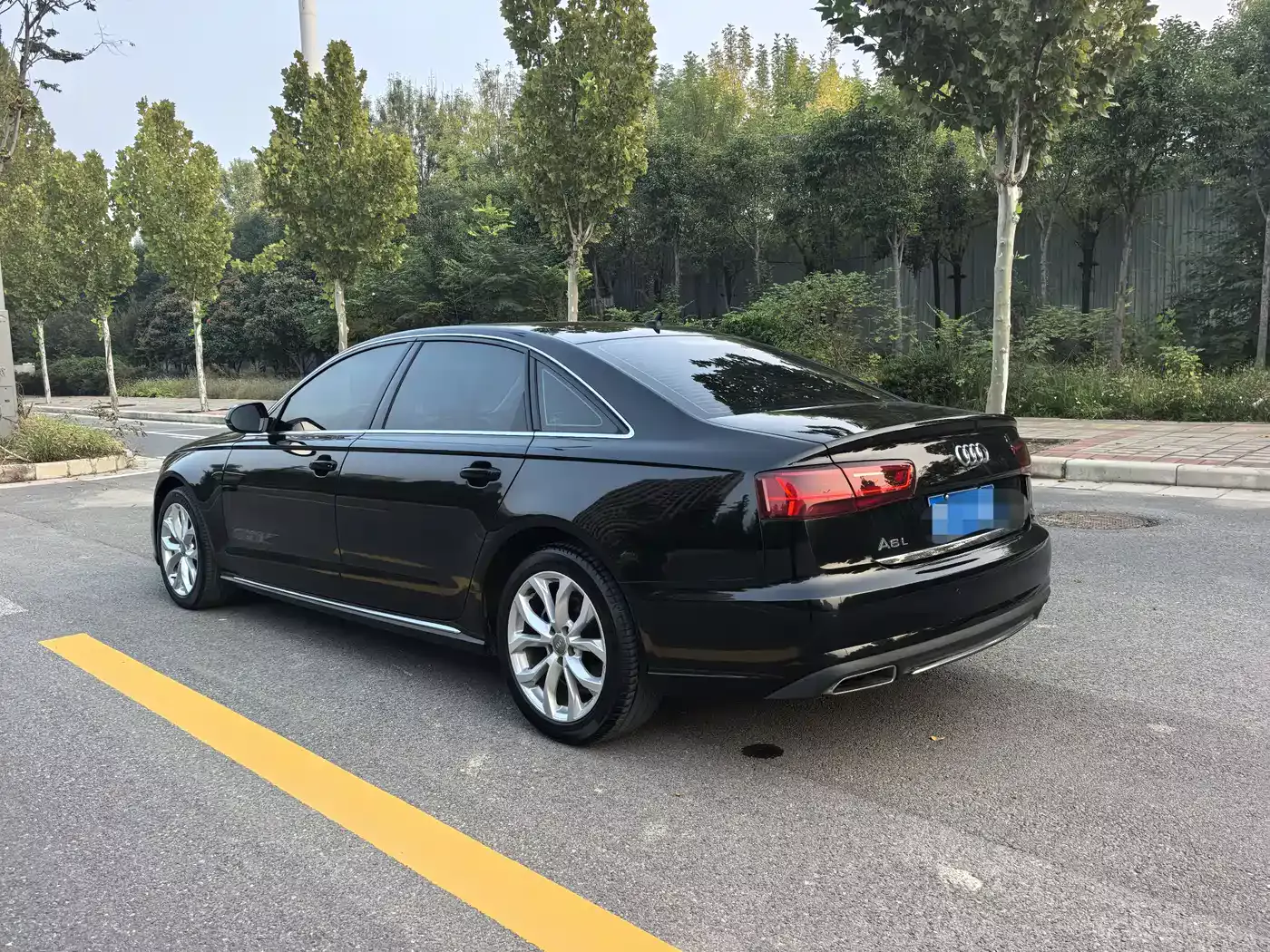 Audi A6L 2018 30th Anniversary TFSI Progressive фото 5