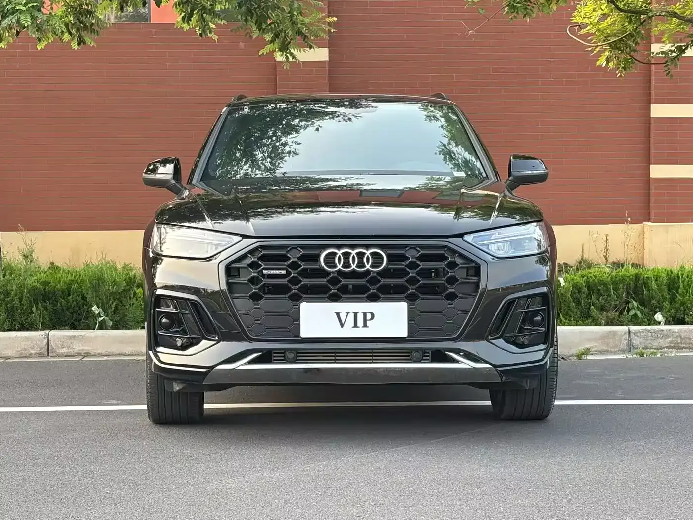Audi Q5L 2025 Model Year Facelift 45th Anniversary Edition 40 TFSI Luxury Dynamic фото 3