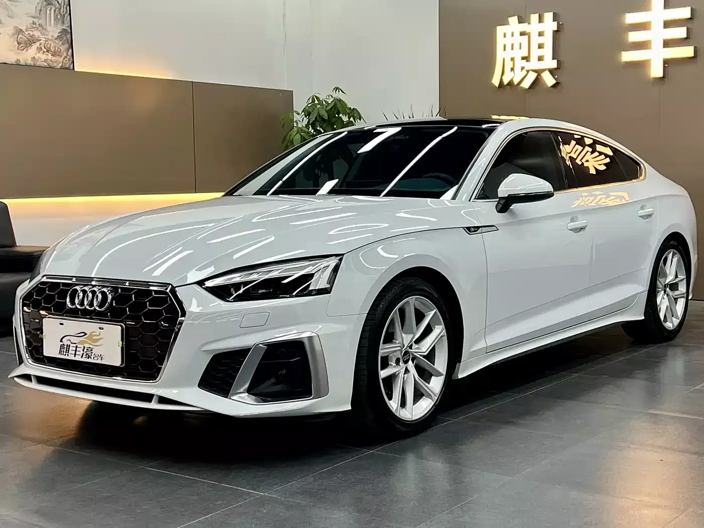 Audi A5 (Import) 2024 Sportback 40 TFSI Fashion Dynamic