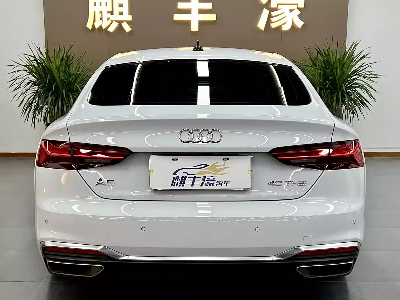Audi A5 (Import) 2024 Sportback 40 TFSI Fashion Dynamic фото 15