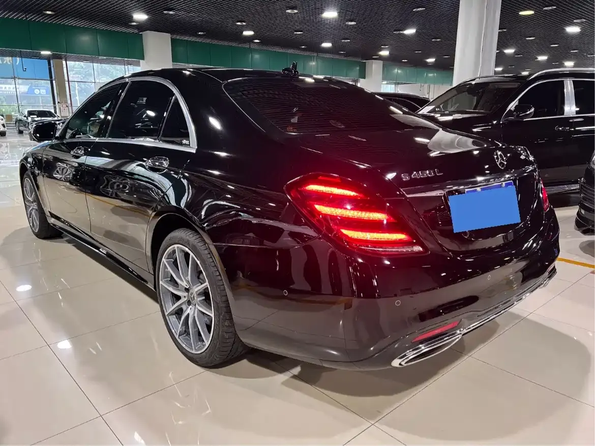 Mercedes-Benz S-Class 2020 S 450 L 4MATIC Collector's Version фото 19