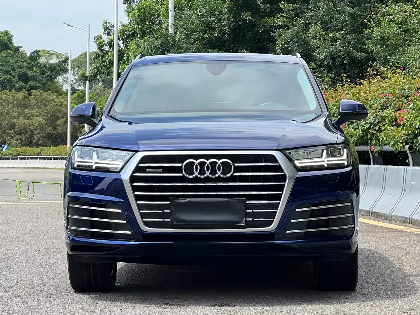 Audi Q7 2019 45 TFSI S line Sport фото 2