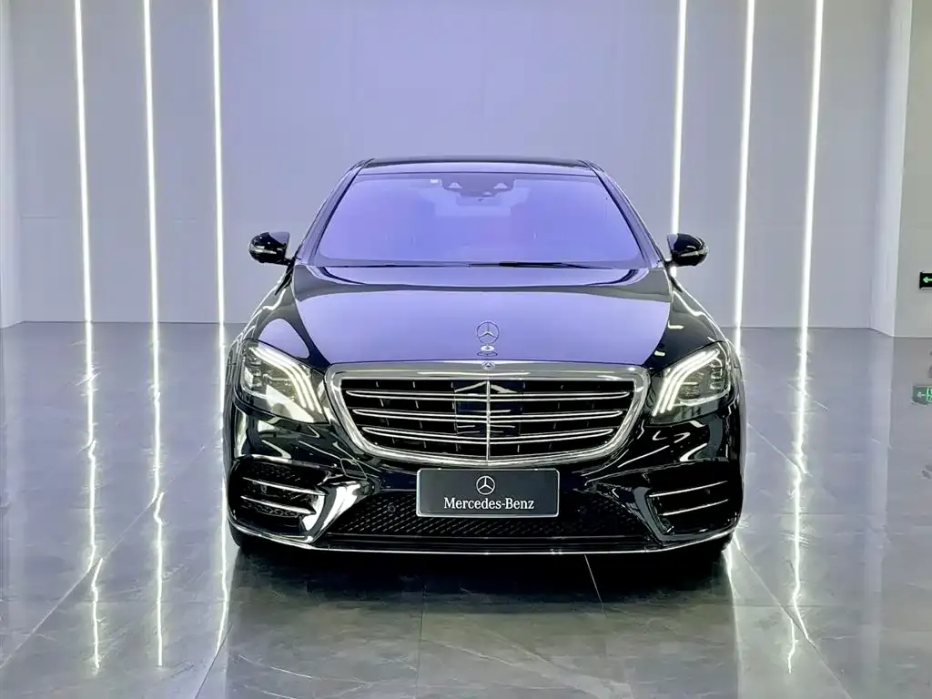 Mercedes-Benz S-Class 2020 S 450 L 4MATIC Collector's Version фото 2