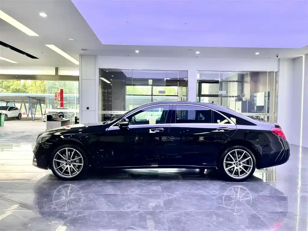 Mercedes-Benz S-Class 2020 S 450 L 4MATIC Collector's Version фото 3