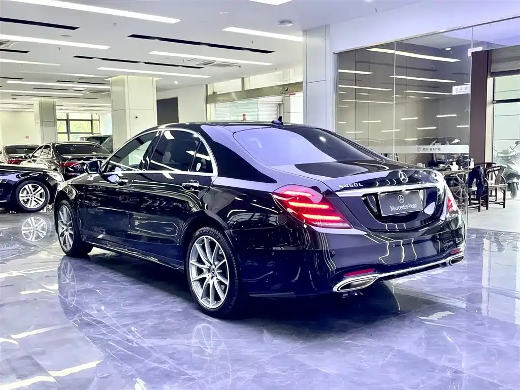 Mercedes-Benz S-Class 2020 S 450 L 4MATIC Collector's Version фото 4