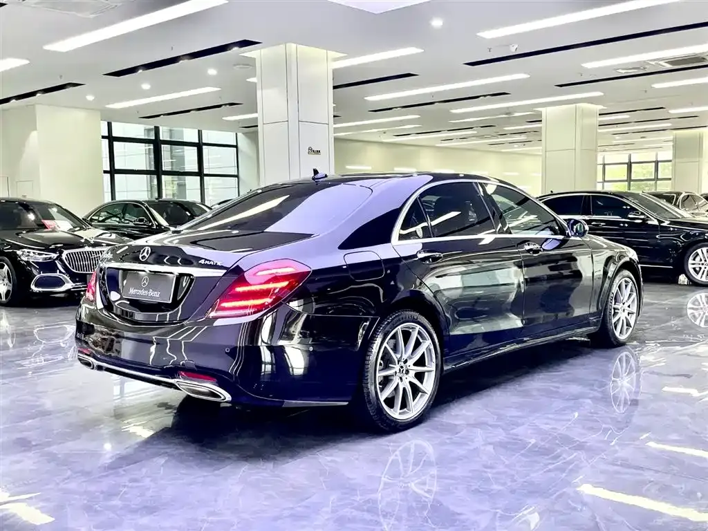 Mercedes-Benz S-Class 2020 S 450 L 4MATIC Collector's Version фото 6