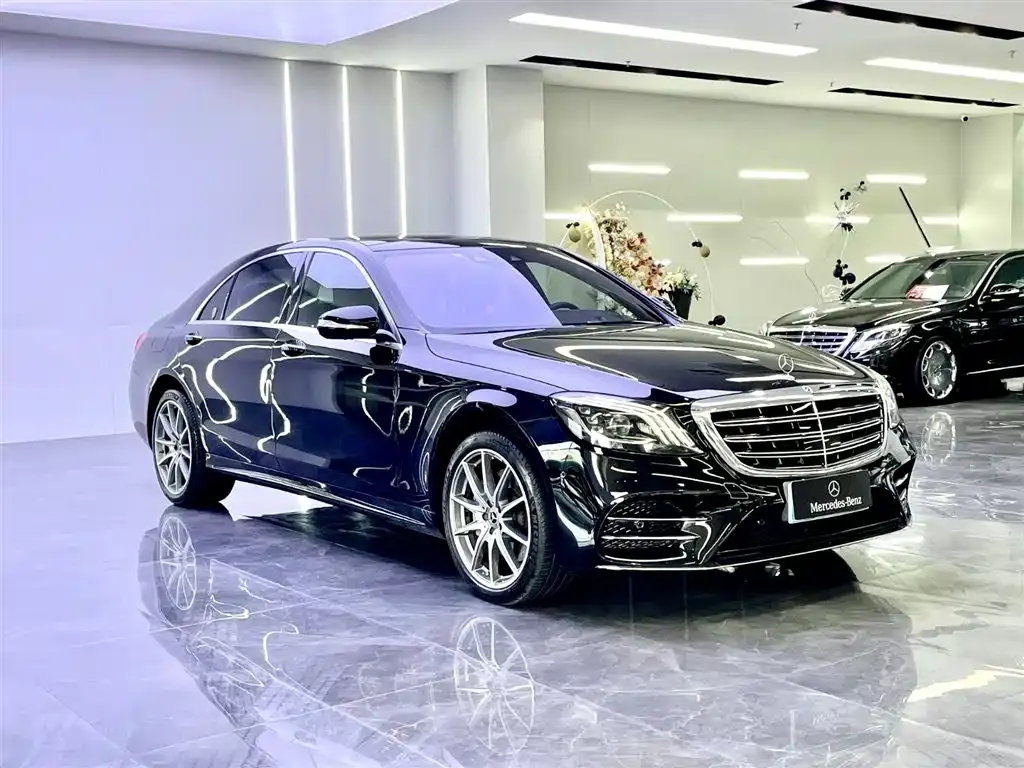 Mercedes-Benz S-Class 2020 S 450 L 4MATIC Collector's Version фото 7