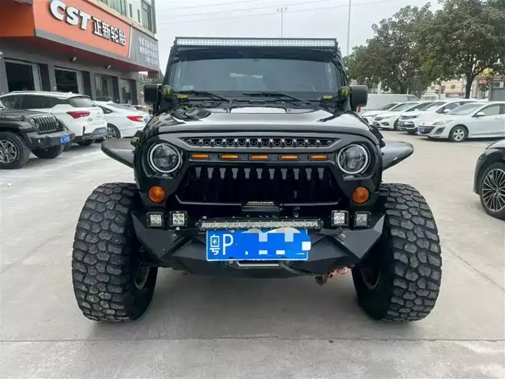 Jeep Wrangler 2009 3.8L Rubicon Two-Door фото 2
