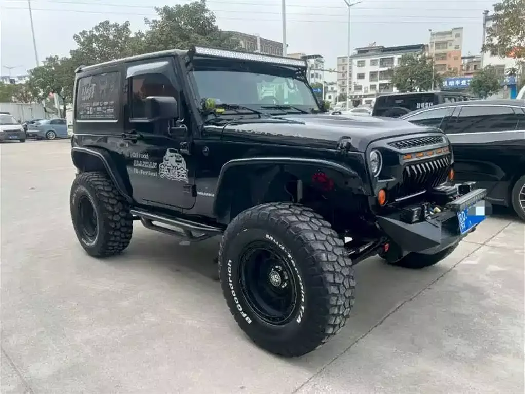 Jeep Wrangler 2009 3.8L Rubicon Two-Door фото 3