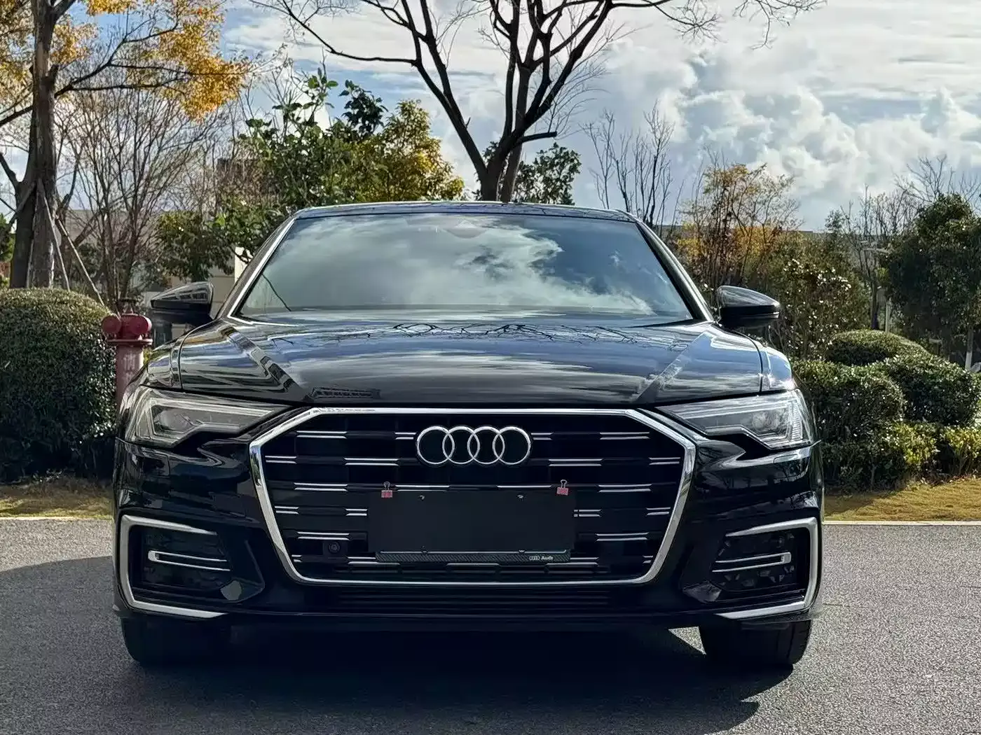 Audi A6L 2020 40 TFSI Luxury Dynamic фото 2