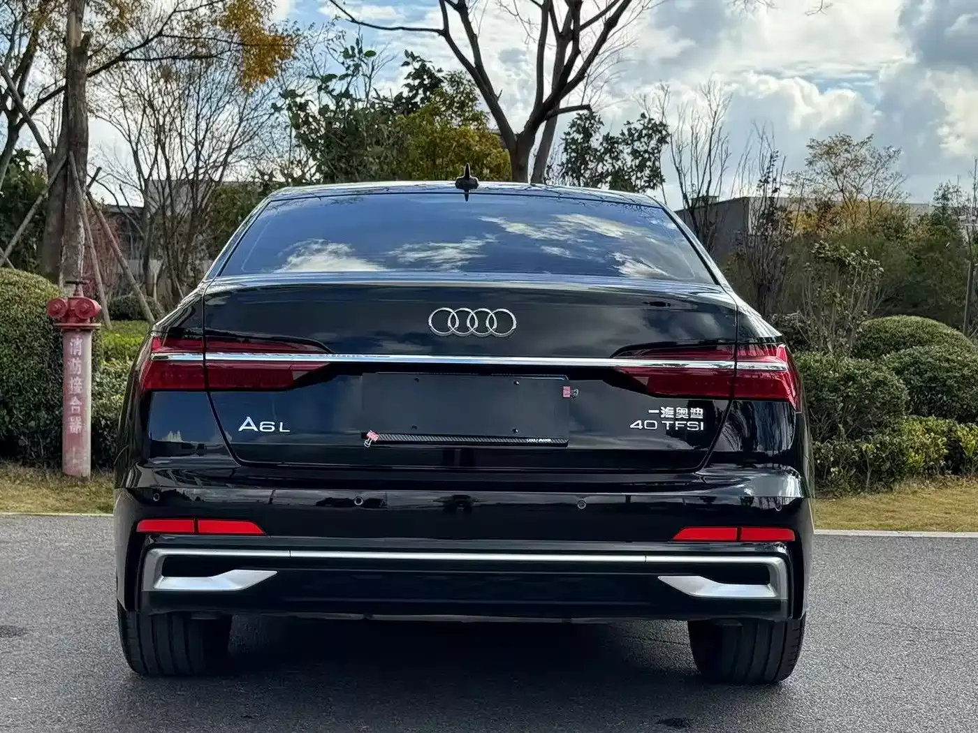 Audi A6L 2020 40 TFSI Luxury Dynamic фото 8