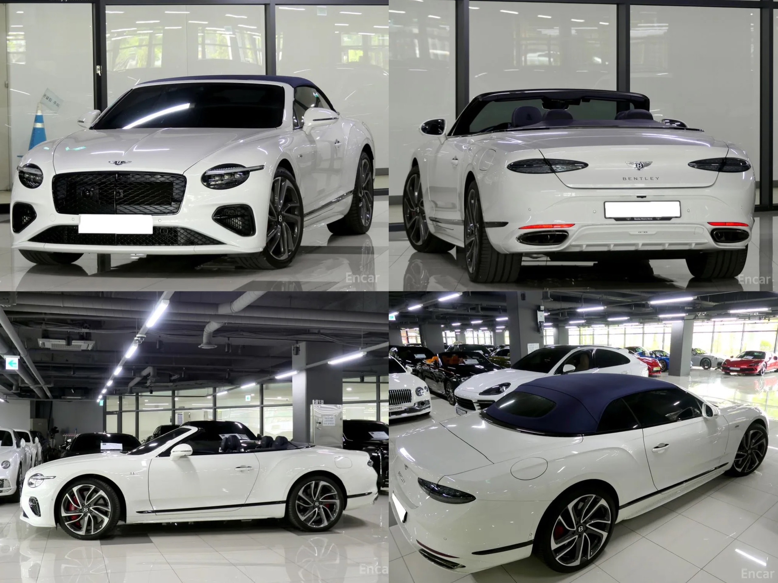 Bentley Continental GTC Speed 4.0 V8 Hybrid из Южной Кореи доступен к заказу 🔥